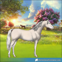 Horse Color:Cremello 