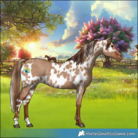 Horse Color:Red Dun Skewed LP Spotted 