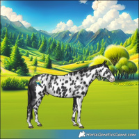 Horse Color:Powder White Black Skewed LP Spotted