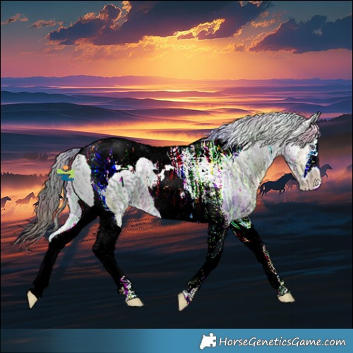 Horse Color:Nacre Brown Chinchilla Ice Tobiano