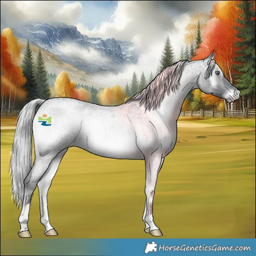 Horse Color:Silver Brown Chinchilla Roan Onyx 