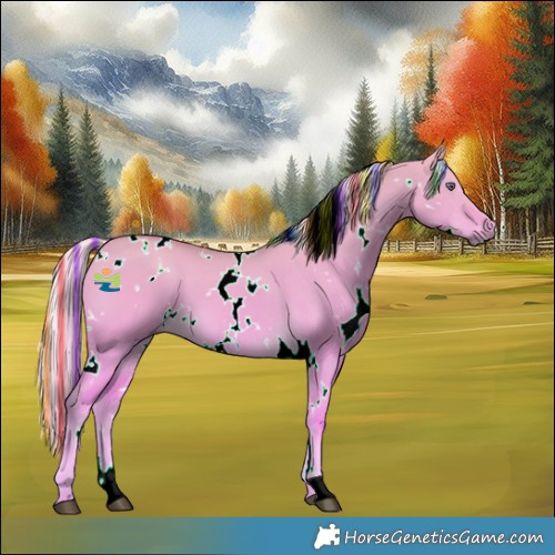 Horse Color:Painted White Spotted Chocolate Palomino Chinchilla Dun 