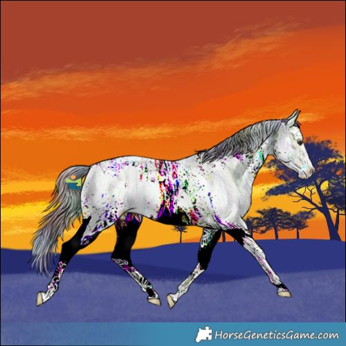 Horse Color:Nacre Plaid  Liver Chestnut Ice Sabino Tobiano 