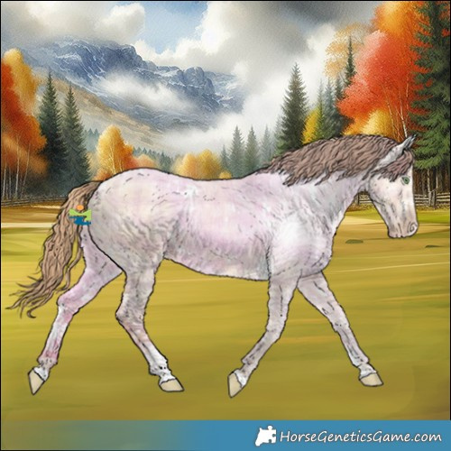 Horse Color:Plaid  White Spotted Chocolate Amber Champagne Ice Dun Varnish 