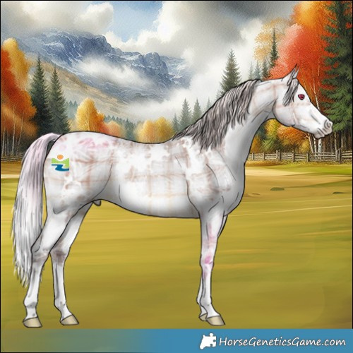 Horse Color:Plaid  White Spotted Chocolate Silver Bay Chinchilla Ice 