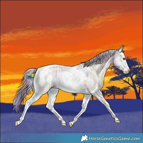 Horse Color:Watercolor Plaid  Liver Red Onyx Ice Sabino Tobiano 