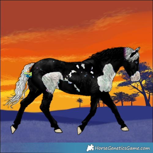 Horse Color:Watercolor Plaid  Silver Brown Chinchilla Ice Dun Splash Tobiano 