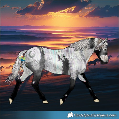 Horse Color:ERROR: UNKNOWN ANOMALY