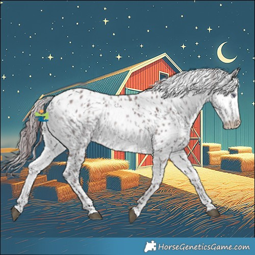 Horse Color:Chocolate Bay Chinchilla Leopard 