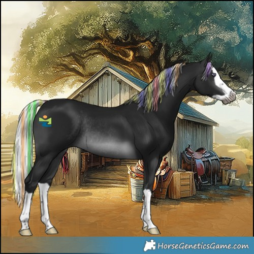 Horse Color:Gray Painted Silver Brown Chinchilla Splash Rabicano 