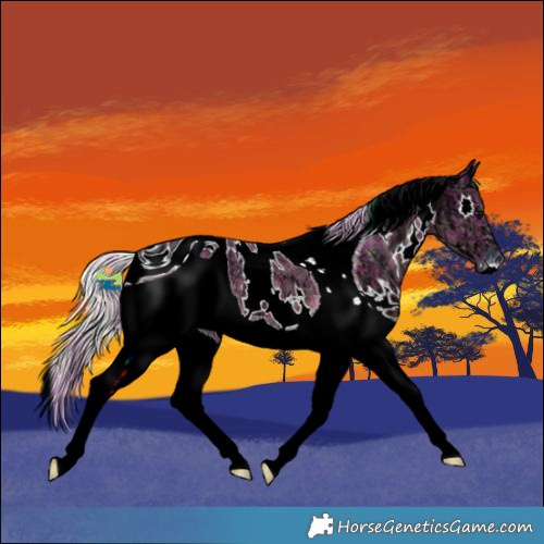Horse Color:ERROR: UNKNOWN ANOMALY