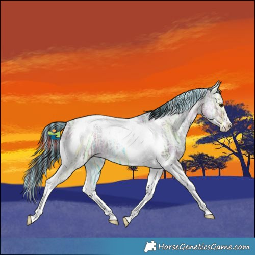 Horse Color:Painted Plaid  Liver Chestnut Ice Tobiano 