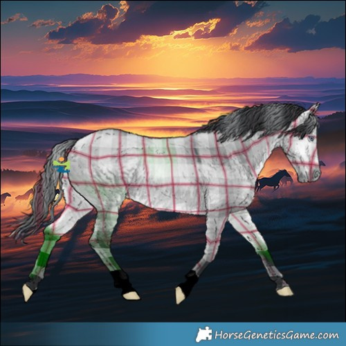 Horse Color:Plaid  Bay Chinchilla Dun 