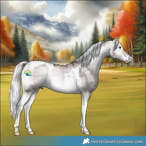 Horse Color:Plaid  Chocolate Silver Bay Chinchilla Ice Onyx Tobiano 