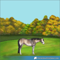 Horse Color:Brown Onyx Sabino 