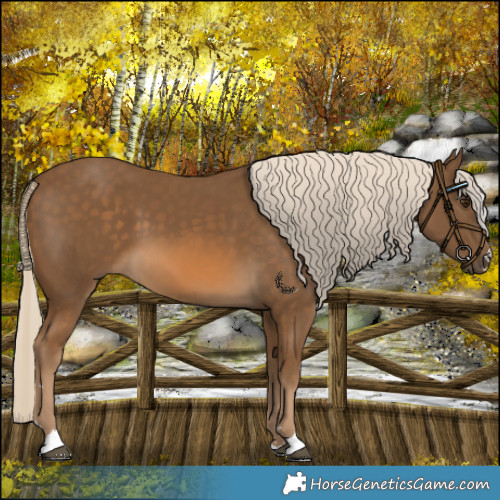 Horse Color:Chocolate Palomino 