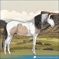 Horse Color:Bay Dun Splash Tobiano