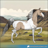 Horse Color:Brown Dun Tobiano 