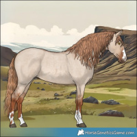 Horse Color:Red Dun Roan