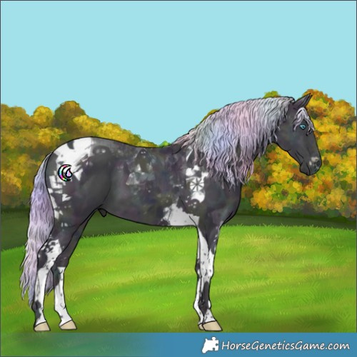 Horse Color:Nacre Watercolor Midnight Palomino Ice Pearl Dun Tobiano 