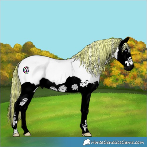 Horse Color:Void Painted Silver Perlino Chinchilla Splash 