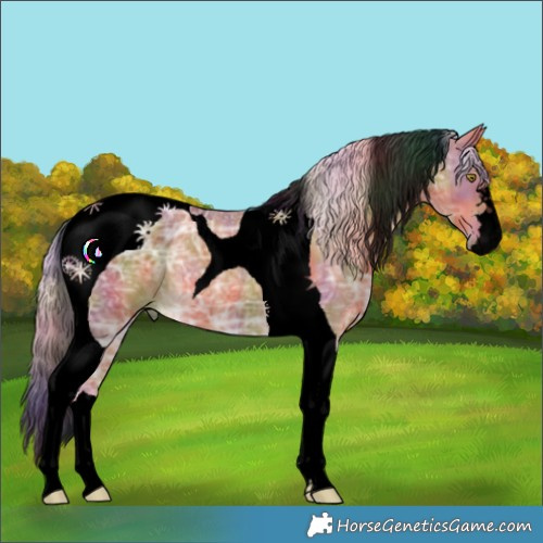 Horse Color:Void Nacre Palomino Ice Tobiano 
