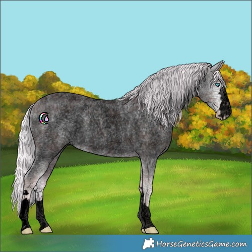 Horse Color:Void Watercolor Silver Smoky Creme Ice Roan 