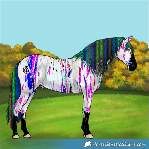 Horse Color:Void Painted Cremello Chinchilla Ice 
