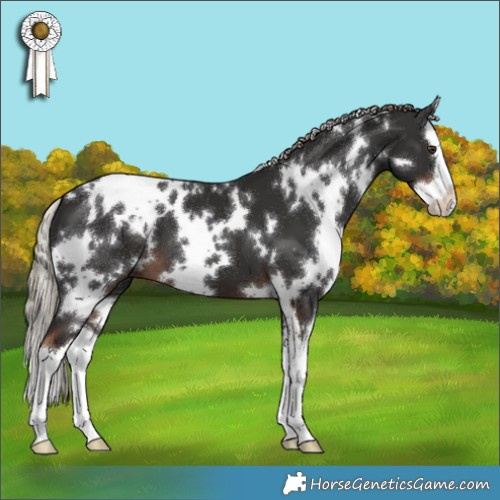 Horse Color:White Spotted Liver Chestnut Splash 