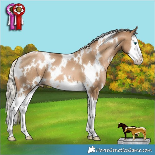 Horse Color:White Spotted Chocolate Palomino Pearl Splash 