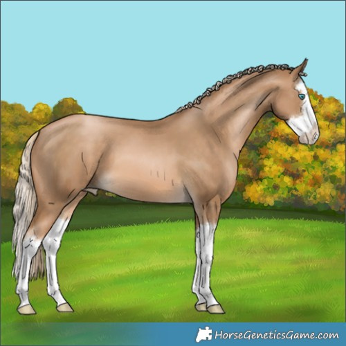 Horse Color:Chocolate Palomino Pearl Splash 