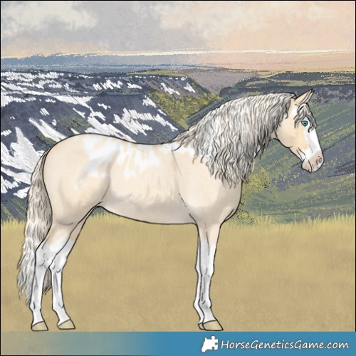 Horse Color:Gold Cream Champagne Roan Dun Splash Skewed LP Spotted