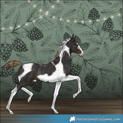 Horse Color:Liver Chestnut Tobiano Frame Rabicano 