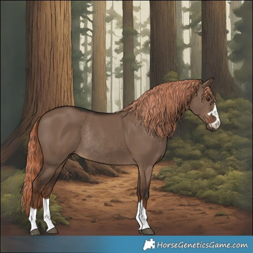Horse Color:Liver Red Dun Rabicano