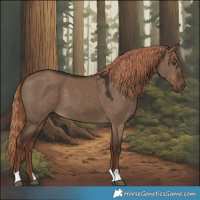 Horse Color:Liver Red Dun 