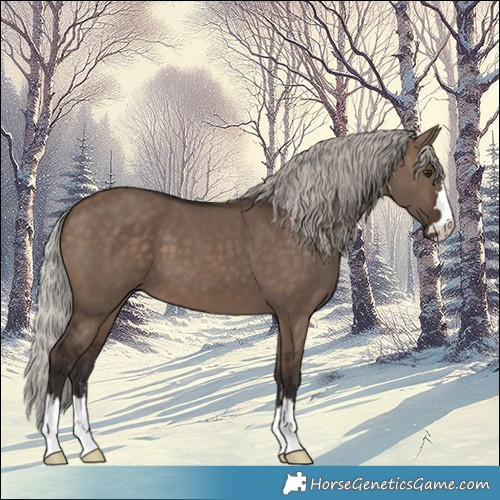 Horse Color:Silver Brown Dun 