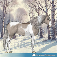 Horse Color:Silver Brown Dun Tobiano Rabicano 