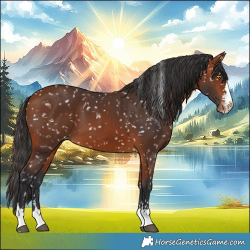 Horse Color:Bay Snowflake Varnish 