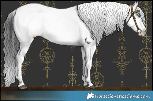 Horse Color:Black Frame