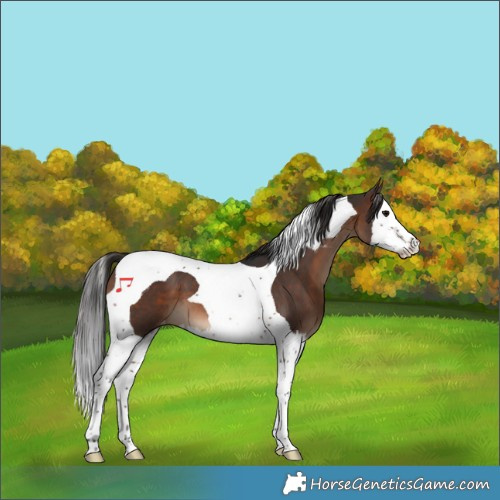 Horse Color:Brown Splash Tobiano Varnish 