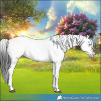 Horse Color:Black Frame 