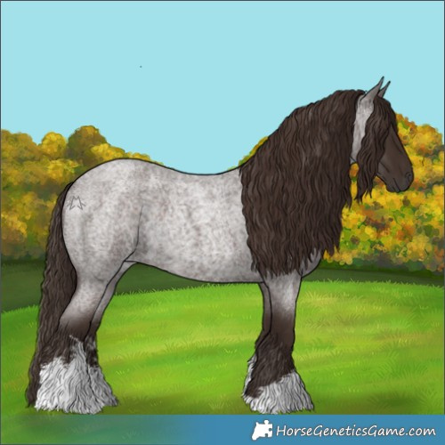 Horse Color:White Spotted Liver Red Roan Rabicano 