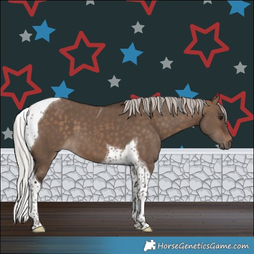 Horse Color:Silver Bay Dun Tobiano 