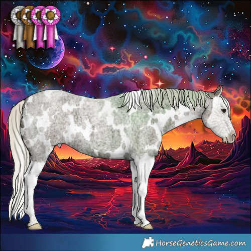 Horse Color:White Spotted Silver Smoky Blue Ice Roan Splash 