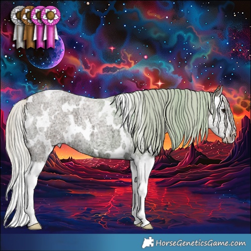 Horse Color:White Spotted Silver Smoky Blue Ice Roan Splash