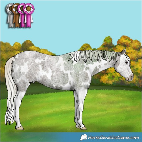 Horse Color:White Spotted Silver Smoky Blue Ice Roan Splash 