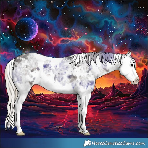 Horse Color:White Spotted Silver Smoky Blue Ice Roan Splash 
