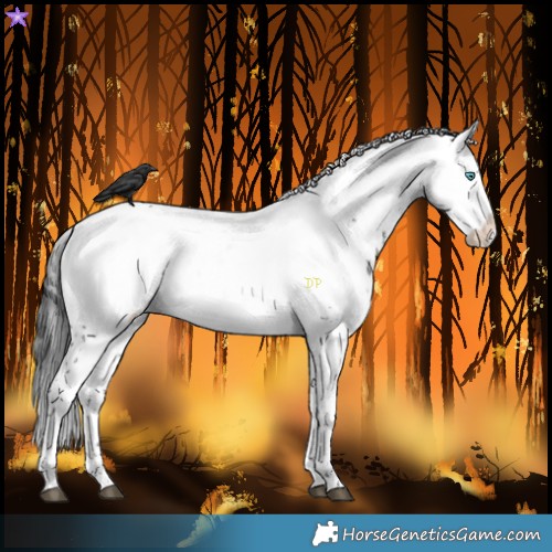 Horse Color:Black Frame