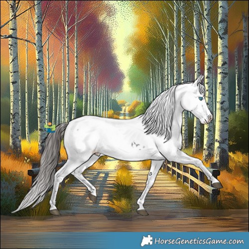 Horse Color:Liver Chestnut Frame 