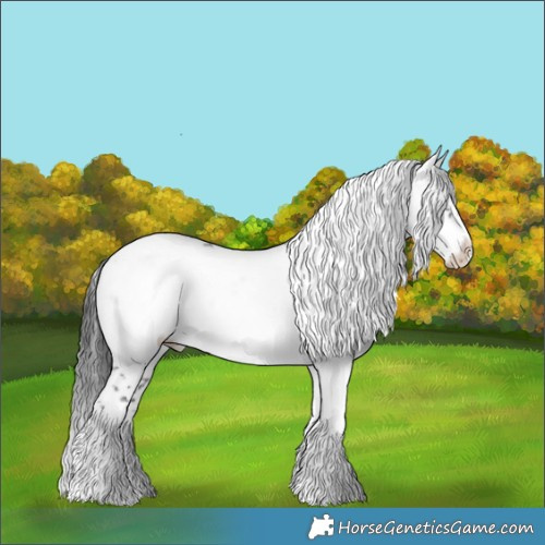 Horse Color:Black Frame